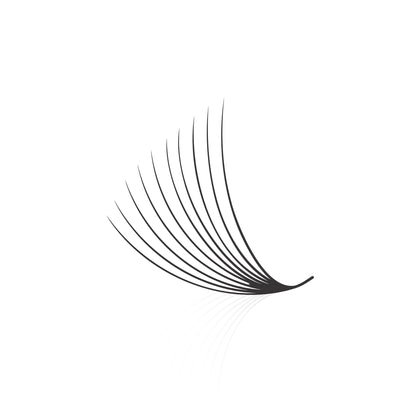 Loose Fan Promade 10D Lashes Extension | 0.07