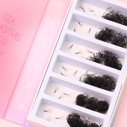 Mix 6in1 | Promade Lashes 8D | 1.500 Fans