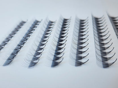 Mix 10D Ultra-Speed | Pro-made Lashes | 1000 fans