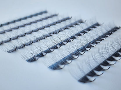 Mix 12D Ultra-Speed | Pro-made Lashes | 1000fans