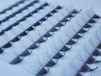 Single 14D Ultra-Speedy | Promade Lashes | 1000 fans