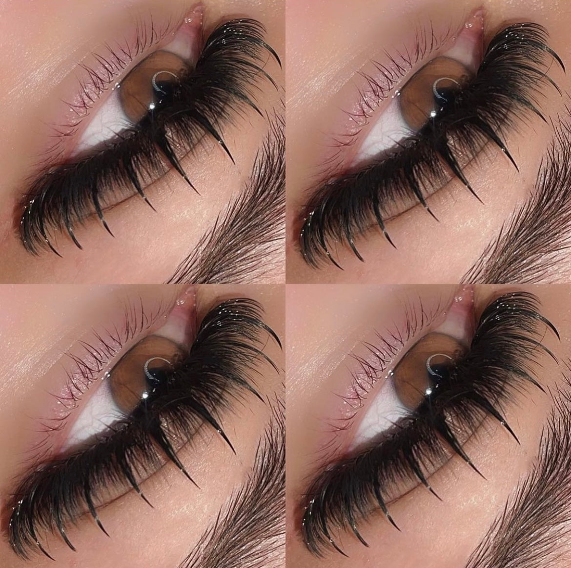 Individual Spike Lashes | Mix 10-18mm | Large Tray | 650 Spikes